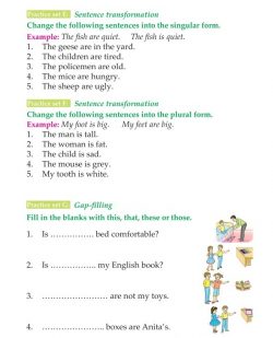 3rd Grade Grammar Plurals (11).jpg
